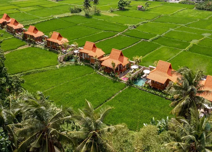 The Kalyana 4*